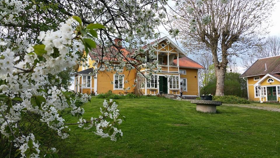Preliminär bild 2
